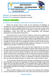 Transparence - L’Arbre des possibles - Bernard WERBER - Mini - brevet français - Sujet inédit : 11ème Harmos - Cycle 4 - PDF à imprimer