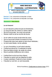 Exercice Configuration du dernier rivage - Michel Houellebecq - Mini - brevet français - Sujet inédit : 11ème Harmos - Cycle 4 - PDF à imprimer