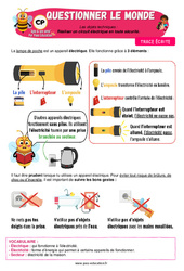 Leçon Réaliser un circuit électrique en toute sécurité - Cours, Leçon - Apis & ses amis : 3eme Harmos - Cycle 2 - PDF à imprimer