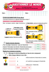 Exercice Réaliser un circuit électrique en toute sécurité - Exercices - Apis & ses amis : 3eme Harmos - Cycle 2 - PDF à imprimer