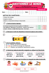 Evaluation Réaliser un circuit électrique en toute sécurité - Examen Evaluation - Apis & ses amis : 3eme Harmos - Cycle 2 - PDF à imprimer
