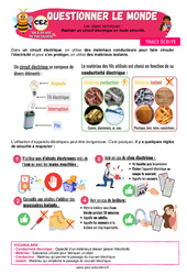 Leçon Réaliser un circuit électrique en toute sécurité - Cours, Leçon - Apis & ses amis : 5ème Harmos - Cycle 2 - PDF à imprimer