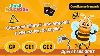 Comment allumer une ampoule si elle est loin de la pile ? - Vidéo pédagogique - Apis & ses amis : 3eme, 4ème, 5ème Harmos