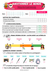 L’évolution de la société au fil du temps - Examen Evaluation - Apis & ses amis : 3eme Harmos - Cycle 2 - PDF à imprimer