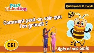 Comment peut - on voir que l’on grandit ? - Vidéo - Apis & ses amis : 4ème Harmos