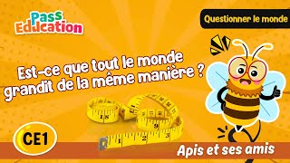 Est - ce que tout le monde grandit de la même manière ? - Vidéo - Apis & ses amis : 4ème Harmos