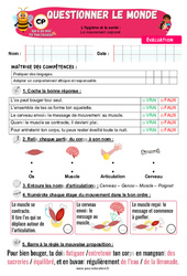 Le mouvement corporel - Examen Evaluation - Apis & ses amis : 3eme Harmos - Cycle 2 - PDF à imprimer