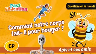 Comment notre corps fait - il pour bouger ? - Vidéo - Apis & ses amis : 3eme Harmos
