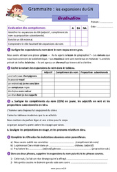 Les expansions du groupe nominal (GN) - Examen Evaluation avec la correction : 7ème Harmos - Cycle 3 - PDF à imprimer