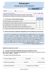 Accords dans un GN complexe - Examen Evaluation avec les corrigés : 10ème, 11ème Harmos - PDF à imprimer
