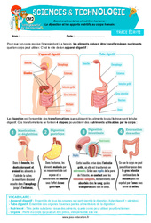 La digestion et les apports nutritifs au corps humain - Cours, Leçon - Edith Eprouvette : 7ème Harmos - PDF à imprimer