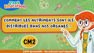 Vidéo Comment les nutriments sont - ils distribués dans nos organes ? - Vidéo - Edith Eprouvette : 7ème Harmos