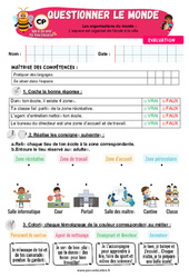 L’espace est organisé de l’école à la ville - Examen Evaluation - Apis & ses amis : 3eme Harmos - PDF à imprimer