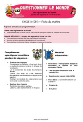 L’espace est organisé de l’école à la ville - Séquence + vidéo - Apis & ses amis : 4ème Harmos