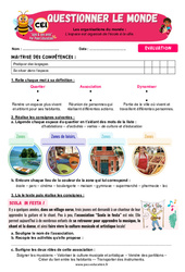 L’espace est organisé de l’école à la ville - Examen Evaluation - Apis & ses amis : 4ème Harmos - PDF à imprimer