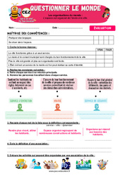 Evaluation L’espace est organisé de l’école à la ville - Examen Evaluation - Apis & ses amis : 5ème Harmos - PDF à imprimer