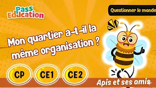 Vidéo Mon quartier a - t - il la même organisation ? - Vidéo pédagogique - Apis & ses amis : 3eme, 4ème, 5ème Harmos