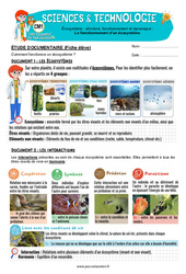Exercice Le fonctionnement d’un écosystème - Exercices - Edith Eprouvette : 6ème Harmos - PDF à imprimer