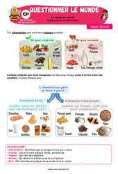 Hygiène de vie et alimentation - Cours, Leçon - Apis & ses amis : 3eme Harmos - PDF à imprimer