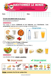 Hygiène de vie et alimentation - Exercices - Apis & ses amis : 3eme Harmos - PDF à imprimer