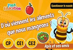 Vidéo D’où viennent les aliments que l’on mange ? - Vidéo - Apis & ses amis : 3eme Harmos