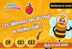 Vidéo Les aliments ont - ils tous le même rôle ? - Vidéo - Apis & ses amis : 3eme Harmos