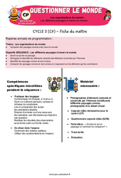 Séquence - Fiche de préparation Les différents paysages à travers le monde - Séquence + vidéo - Apis & ses amis : 3eme Harmos - PDF à imprimer