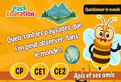 Quels sont les paysages que l’on peut observer dans le monde&nbsp;? - Vidéo - Apis & ses amis : 3eme, 4ème, 5ème Harmos