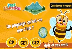 Un paysage, qu’est - ce que c’est&nbsp;? - Vidéo - Apis & ses amis : 3eme, 4ème, 5ème Harmos