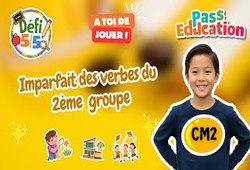 Leçon, exercice et évaluation :<br/> Imparfait des verbes du 2ème groupe - Exercices en vidéo - Défi 5/5 : 7ème Harmos