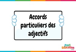 Accords particuliers des adjectifs - Vidéo pédagogique interactive : 9eme, 10ème, 11ème Harmos
