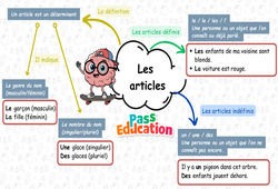 Les articles - Carte mentale à co - construire : 5ème Harmos - PDF à imprimer