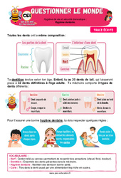 Leçon Hygiène dentaire - Cours, Leçon - Apis & ses amis : 4ème Harmos - PDF à imprimer