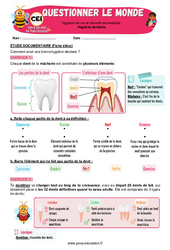 Exercice Hygiène dentaire - Exercices - Apis & ses amis : 4ème Harmos - PDF à imprimer