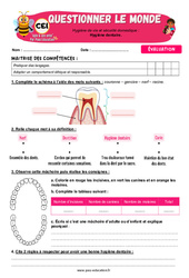 Evaluation Hygiène dentaire - Examen Evaluation - Apis & ses amis : 4ème Harmos - PDF à imprimer