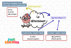Carte mentale Les déterminants - Carte mentale à co - construire : 4ème Harmos - PDF à imprimer
