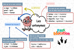 Les antonymes - Carte mentale à co - construire de vocabulaire : 5ème Harmos - PDF à imprimer