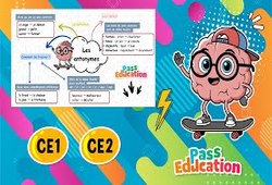 Les antonymes - Carte mentale en vidéo : 5ème Harmos