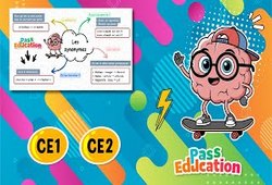 Vidéo Les synonymes - Carte mentale en vidéo : 4ème Harmos