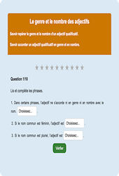 Genre et nombre adjectifs - Fiches Exercice en ligne  - Fiches Français - Orthographe - Étude de la langue : 4ème Harmos