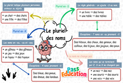 Carte mentale Le pluriel des noms - Carte mentale à co - construire : 5ème Harmos - PDF à imprimer