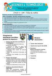 Séquence - Fiche de préparation Consommation et production de matière par les êtres vivants - Séquence + vidéo - Edith Eprouvette : 6ème Harmos - PDF à imprimer