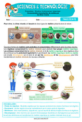 Leçon Consommation et production de matière par les êtres vivants - Cours, Leçon - Edith Eprouvette : 6ème Harmos - PDF à imprimer