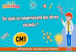 Vidéo De quoi se nourrissent les êtres vivants&nbsp;? - Vidéo pédagogique - Edith Eprouvette : 6ème Harmos