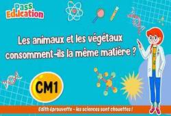 Vidéo Les animaux et les végétaux consomment - ils la même matière&nbsp;? - Vidéo pédagogique - Edith Eprouvette : 6ème Harmos