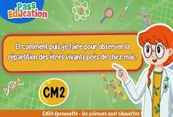 Vidéo Et comment puis - je faire pour observer la répartition des êtres vivants près de chez moi ? - Vidéo - Edith Eprouvette : 7ème Harmos