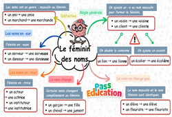 Carte mentale Le féminin des noms - Carte mentale à co - construire : 5ème Harmos - PDF à imprimer