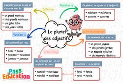 Pluriel des adjectifs - Carte mentale à co - construire : 5ème Harmos - PDF à imprimer