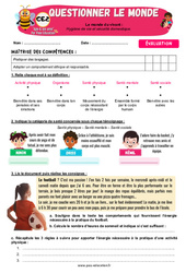 Hygiène de vie et sécurité domestique - Examen Evaluation - Apis & ses amis : 5ème Harmos - PDF à imprimer