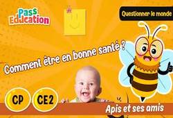 Vidéo Est - ce que l’hygiène domestique, c’est les règles de la maison&nbsp;? - Vidéo - Apis & ses amis : 3eme, 5ème Harmos